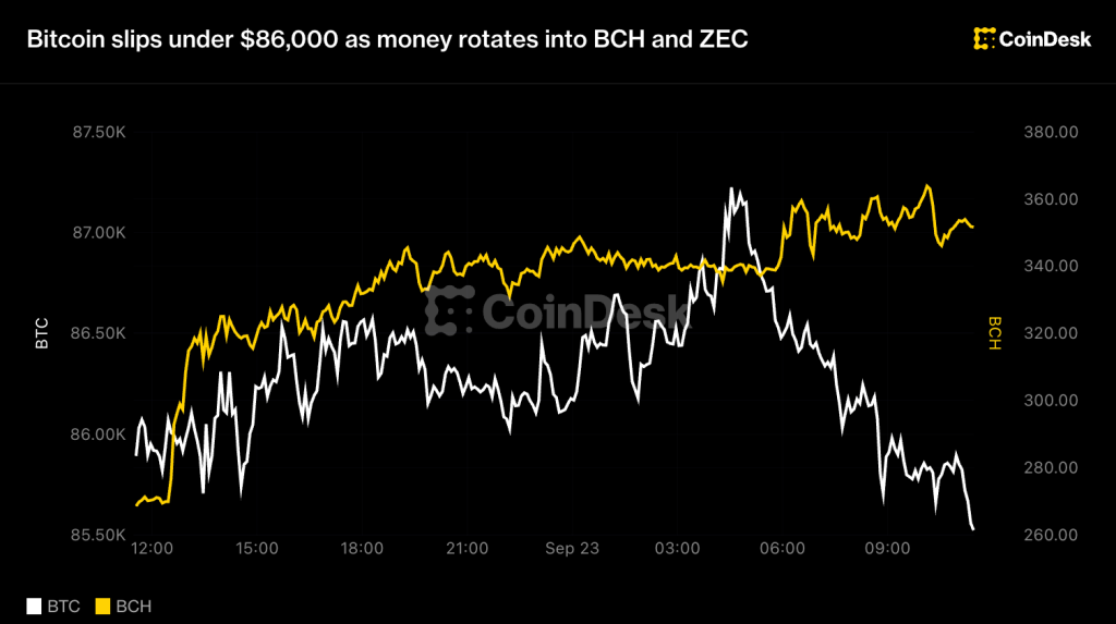 Bitcoin slips under $86,000 as money rotates into BCH and ZEC